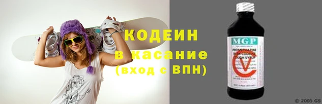 хмурый Алзамай