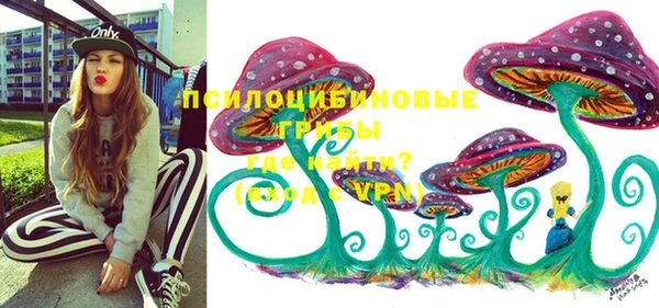 хмурый Алзамай