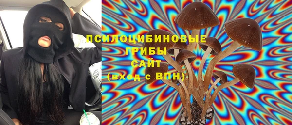 шишки Алексеевка