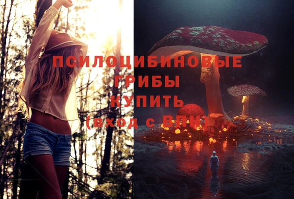 дживик Алексин