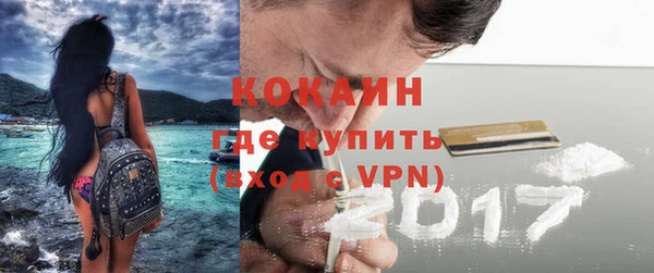 дживик Алексин