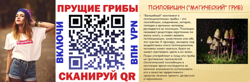 Псилоцибиновые грибы Cubensis  hydra вход  Владивосток 