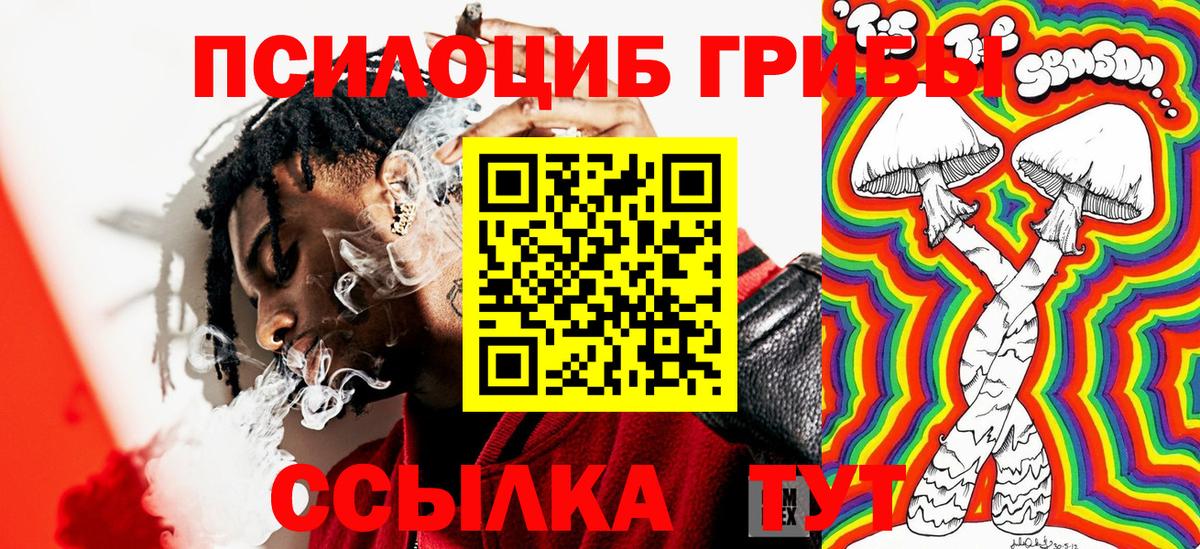 Владивосток  Галлюциногенные грибы ЛСД  Галлюциногенные грибы GOLDEN TEACHER  Вход с VPN 